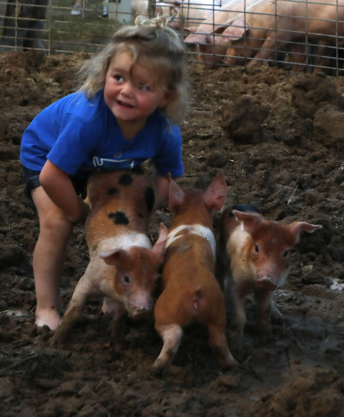 Olivia Homer grabs a piglet